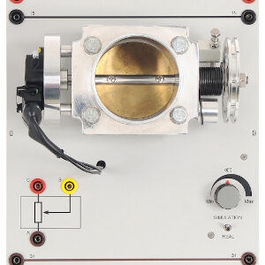 Drosselklappenpositionssensor
