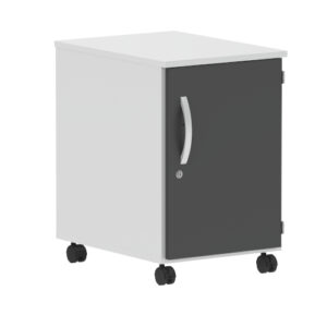 Roll-Container mit Flügeltür rechts angeschlagen 430x666x580mm (BHT)