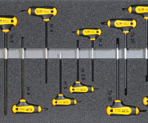 Kfz-Werkzeugsatz 8, Inbus/Torx-Schraubendreher (13 Teile) Einlagengröße 300x600m
